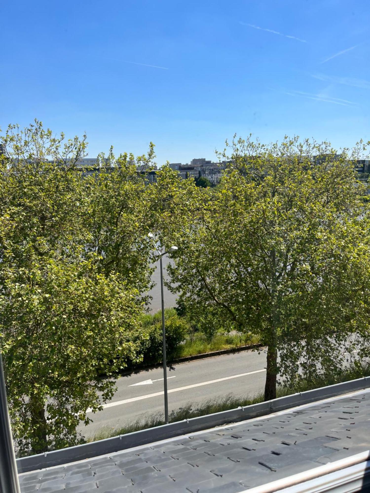 Appartement De Charme Vue Sur Loire Нант Екстер'єр фото